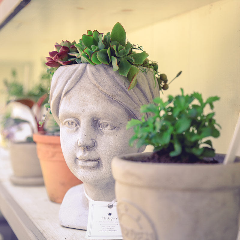 Stylized flower pot with succulents