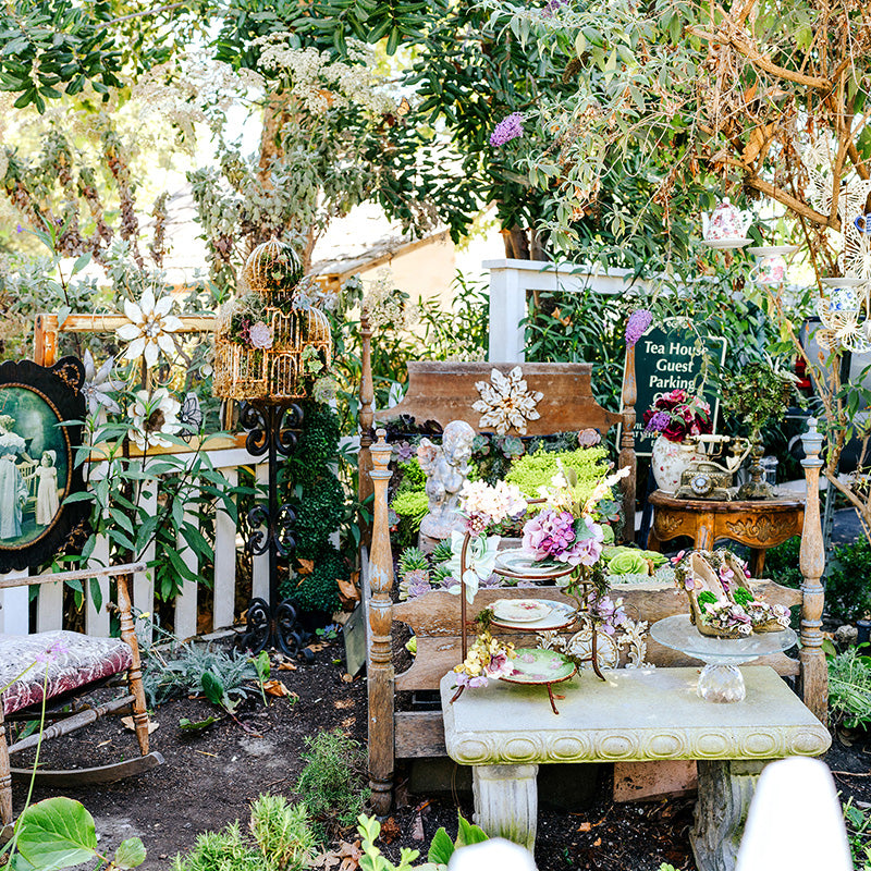 flower bed with teapots, tea cups and loose leaf tea