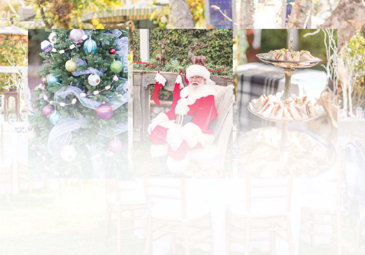 Tea With Santa Upcoming Events Page - December 2nd and 3rd - Book Now!