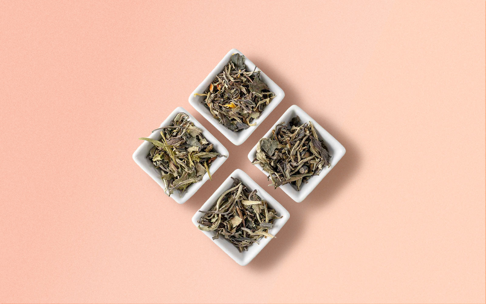 Five small white bowls with dried white tea leaves on a pink background